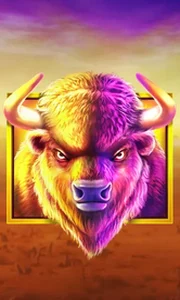 Buffalo King